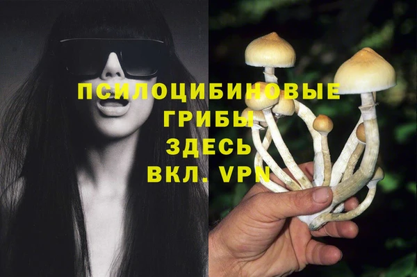 альфа пвп Михайлов