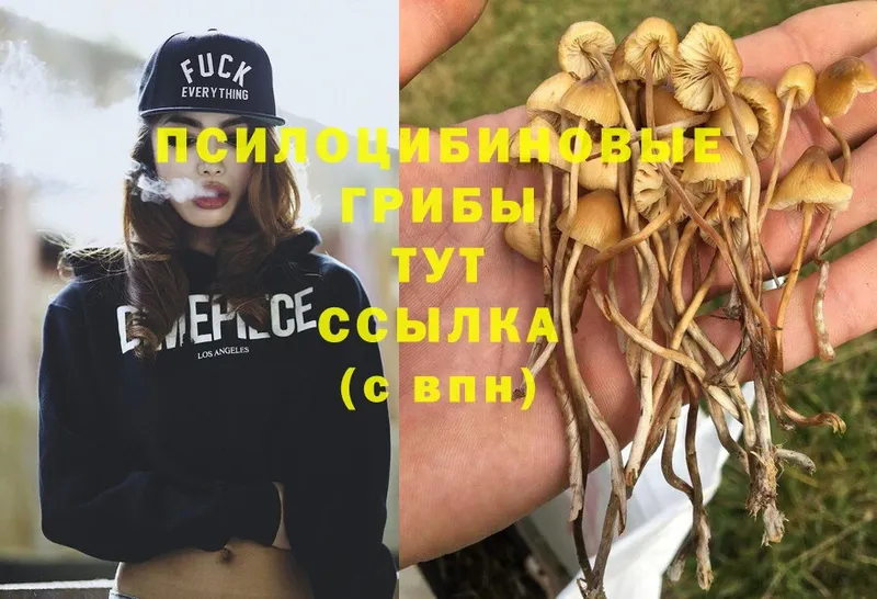 Галлюциногенные грибы Cubensis  Межгорье 