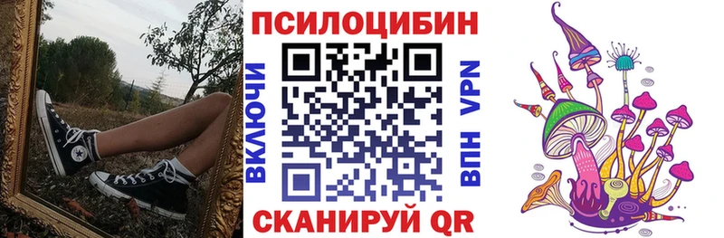 Псилоцибиновые грибы Psilocybe  купить наркоту  Межгорье 